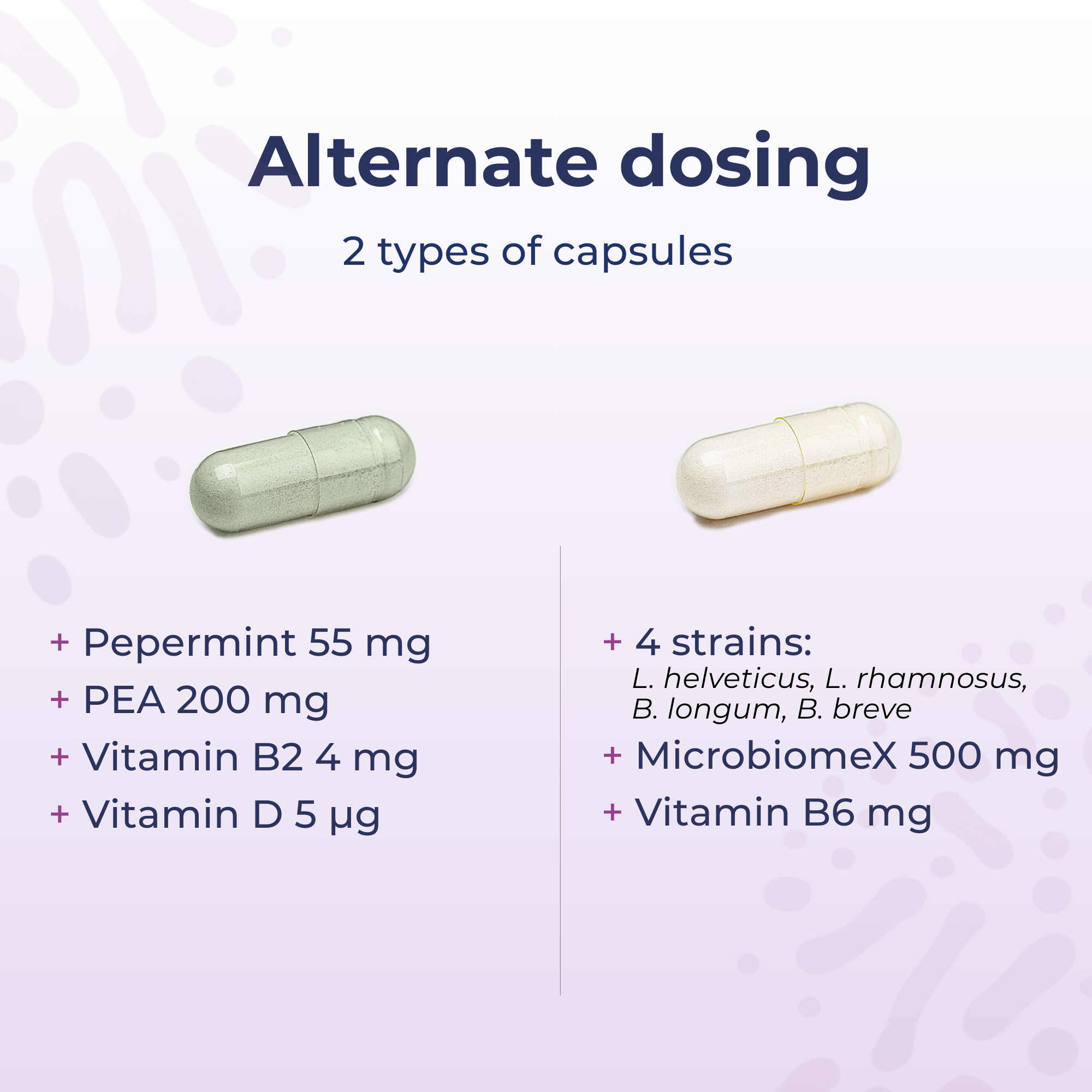 wo capsules with nutritional information on a light purple background irritabe bowel syndrome peppermint and probiotics