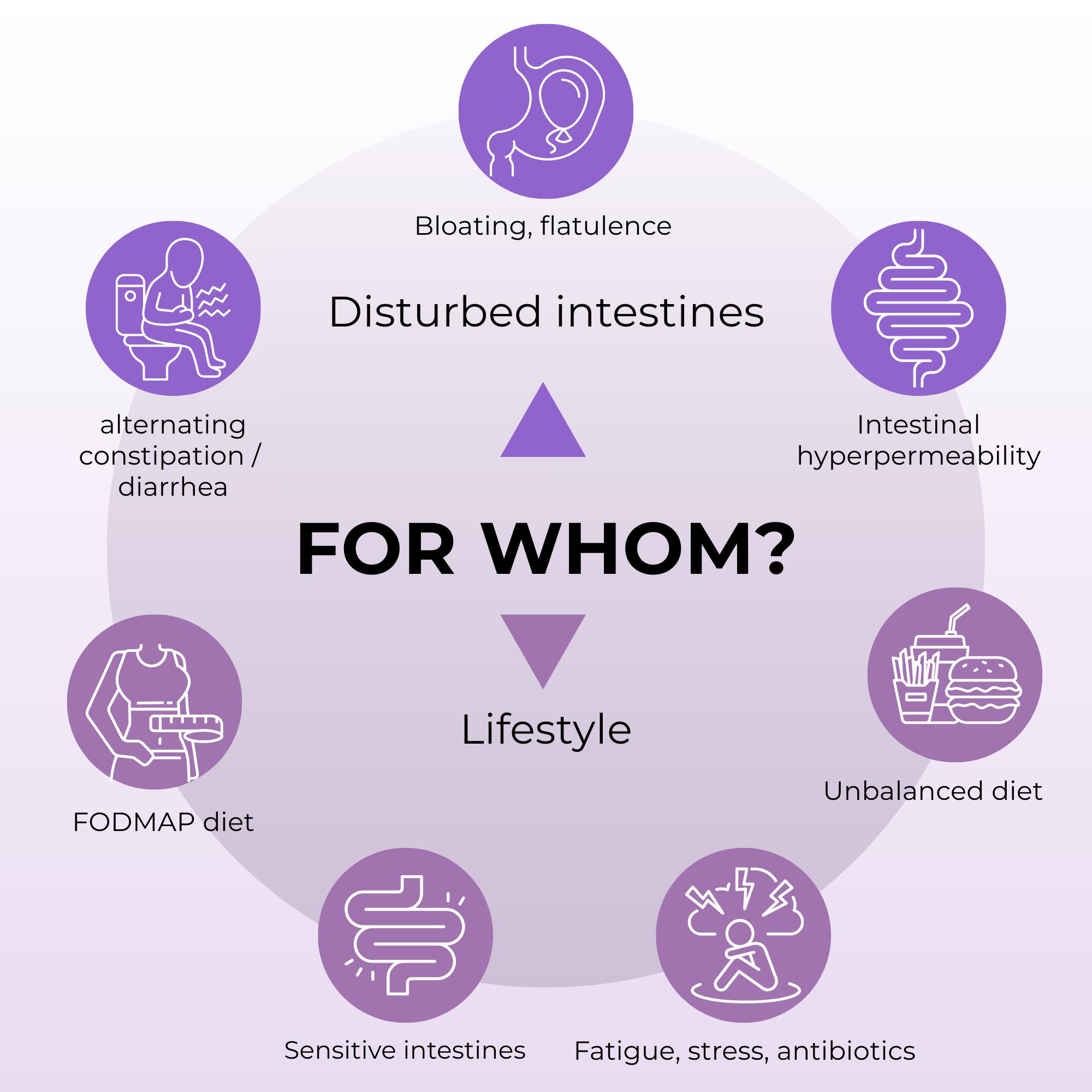 Diagram titled 'FOR WHOM?' with icons and text related to digestive health issues and lifestyle factors on a purple background.v