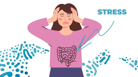 How Cortisol Disrupts Your Gut Microbiome (and What to Do About It)