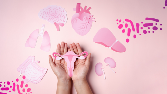 The Hidden Link Between Gut Health and Women’s Energy, Skin, and Hormones