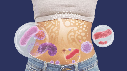 REVOLUBIOME®: Why the Microbiome Is Revolutionising Our Health