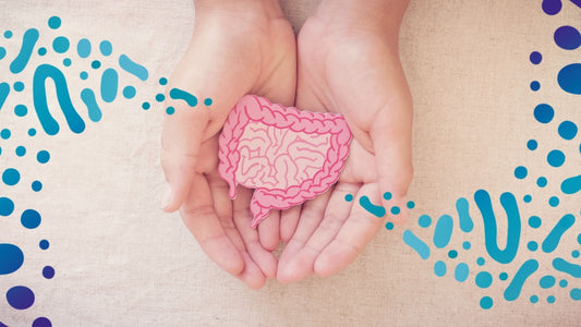 Gut Feelings: How Stress Impacts Your Digestive System