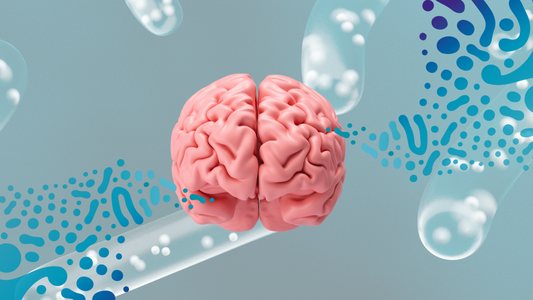 How can probiotics help fight stress?