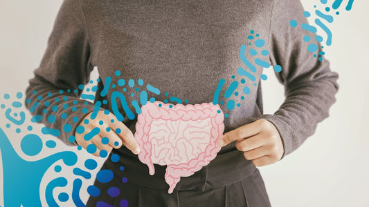 The Role of Short Chain Fatty Acids (SCFAs), Butyrate in Gut Health and IBS