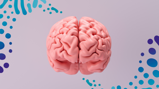 Mind over gut: Unravelling the complex connection between brain and gut