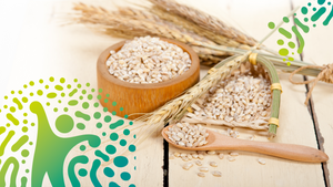 wheat, rye and barley containing gluten used to explain what Non Celiac Gluten Sensitivity is