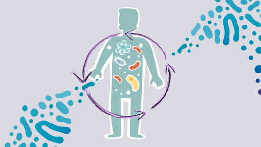 The Gut-Brain-Stress Axis: How Modern Lifestyles Are Impacting Health in 2025