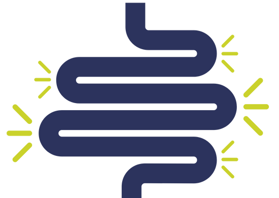 icon of intestinal tract