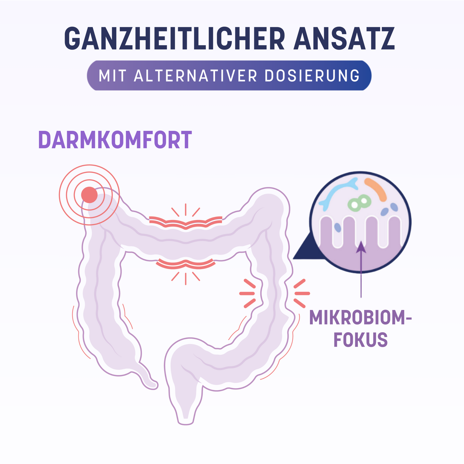 pdp darmbiomix dual approach de